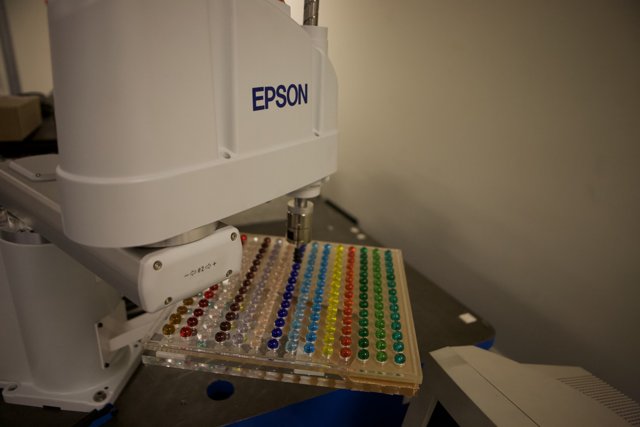 Colored Button Array in a Factory Laboratory