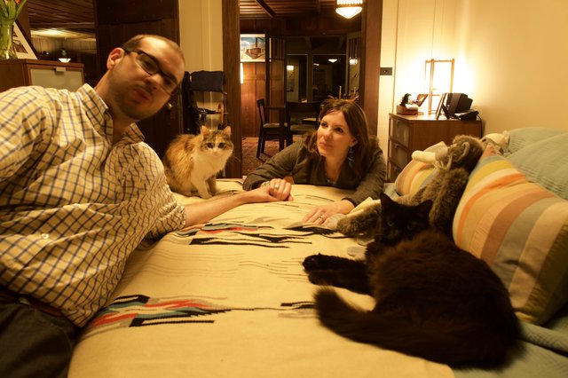 Couple and Their Cats Relaxing on Cozy Bed