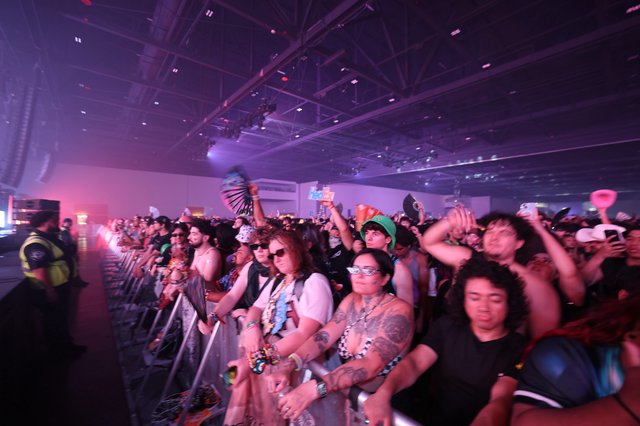 Electric Crowd Energy at Wobbleland 2026 Festival