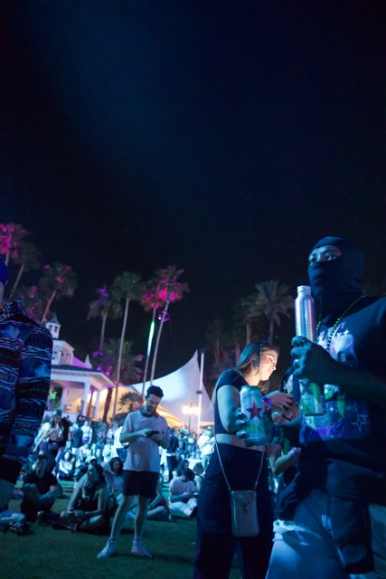 Night Vibes at Coachella 2024: Under the Palm Trees