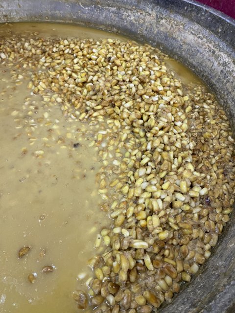 Bountiful Bowl of Corn Grains
