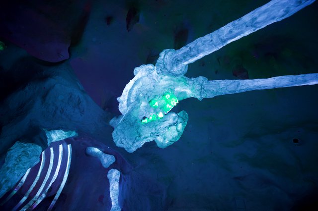Aerial View of Icebergs and Marine Life Formation