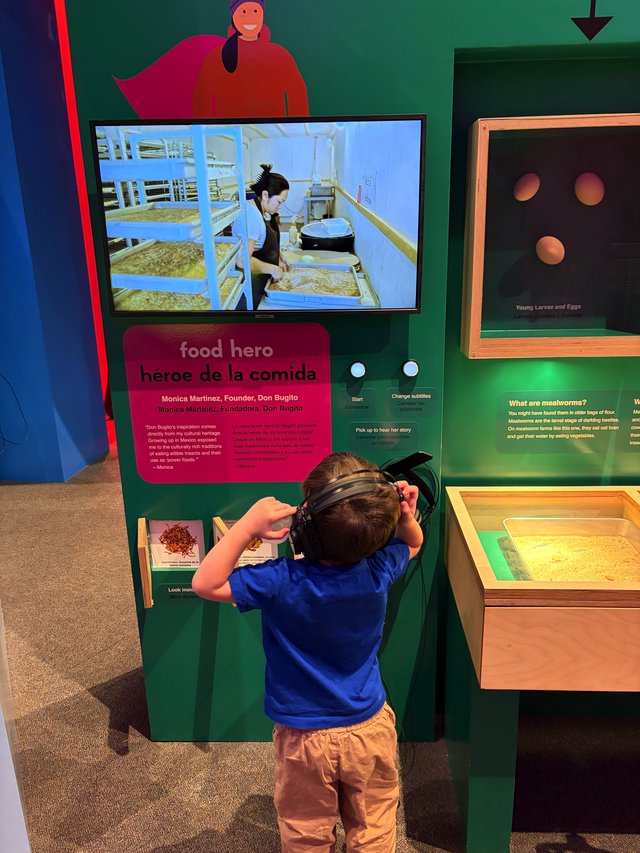 Child Explores Interactive Food Hero Museum Exhibit