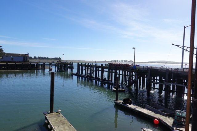 Boats and Dock in Bodega Harbor