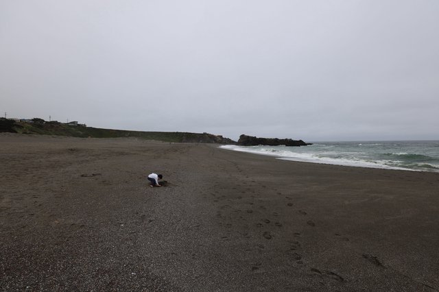 Solitary Explorer on a Fog-Shrouded Northern California Beach