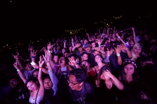 Electric Energy: Captivating Crowds at FYF Bullock 2015