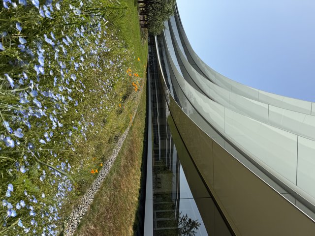 Harmony of Nature and Innovation