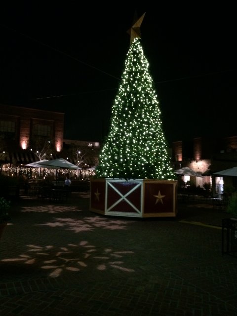 Festive lighting at Pasadena's Christmas Tree Plaza