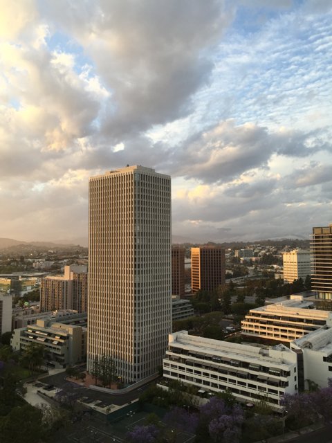 Bird's Eye View of Los Angeles