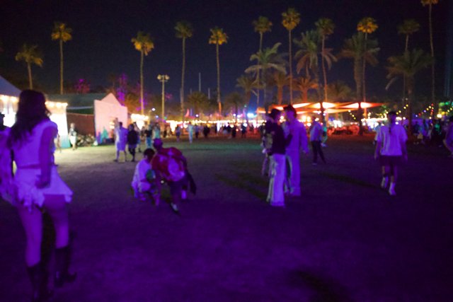 Midnight Palms: Coachella 2024 under the Desert Sky