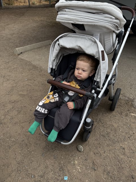 Traveling Tykes