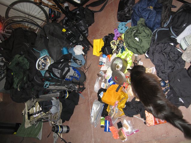 Cat surrounded by gear