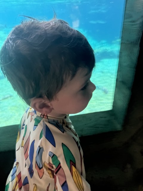 Magical Moments at the Aquarium