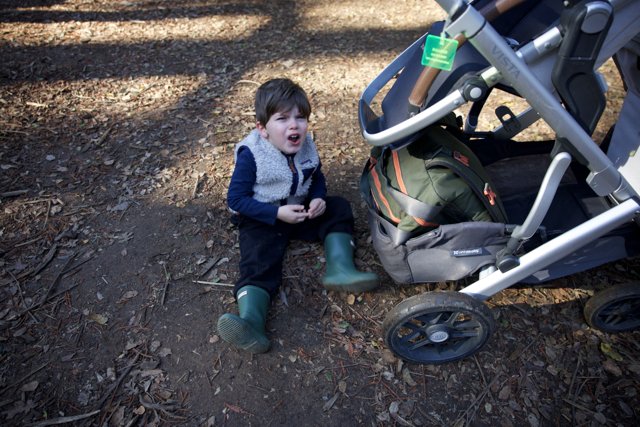 A Tough Moment on a Woodland Adventure