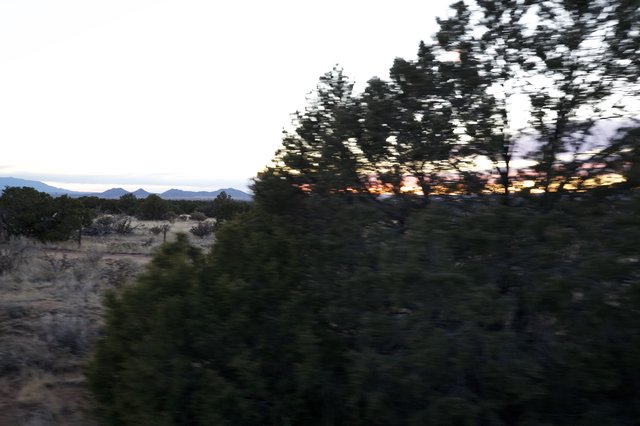 Desert Sunset Through Pine Trees and Mountain Range