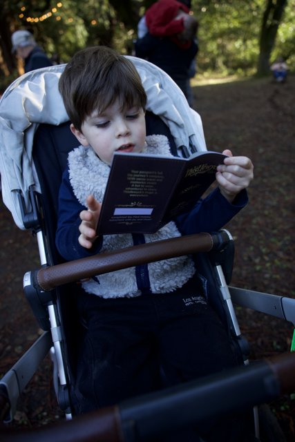 Curious Minds at Thistlewyck
