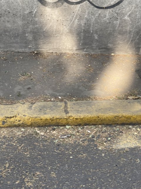 Yellow Line along Urban Wall