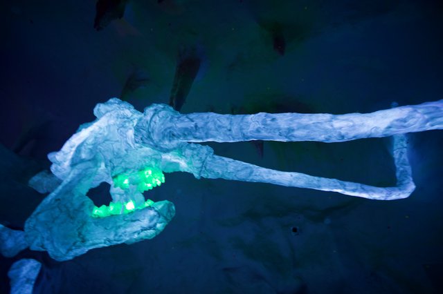 Illuminated Rope Knot Installation Underwater View