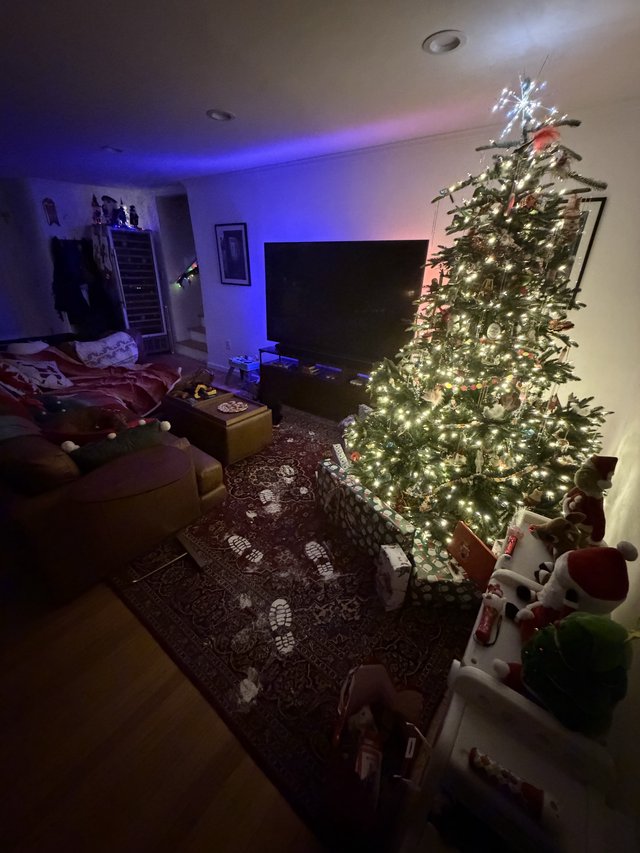 Festive Christmas Morning Living Room with Illuminated Tree