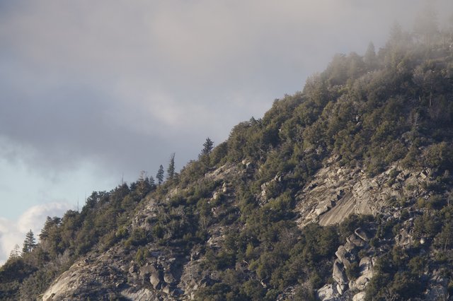 Misty Rocky Mountain Slope in Winter