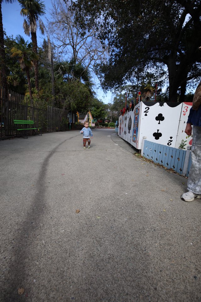 Child Walking Through Alice in Wonderland Themed Pathway