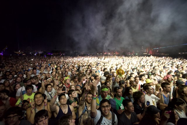 Coachella 2011 Concert Crowd