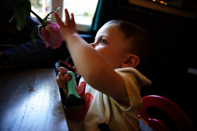 A Baby's Curiosity Blooms
