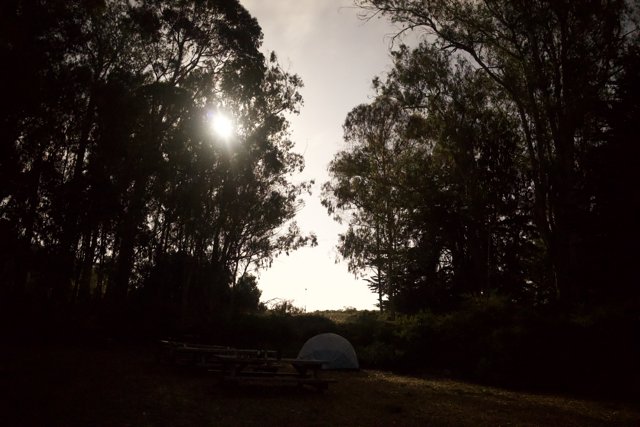 Dawn At The Presidio: A Monochrome Camping Journey