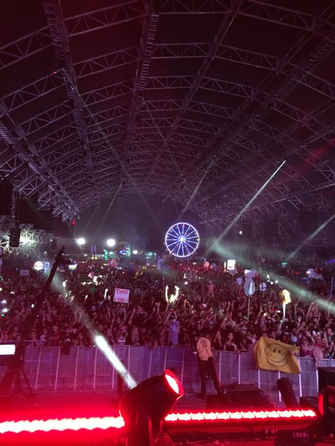 Concert Crowd with Ferris Wheel