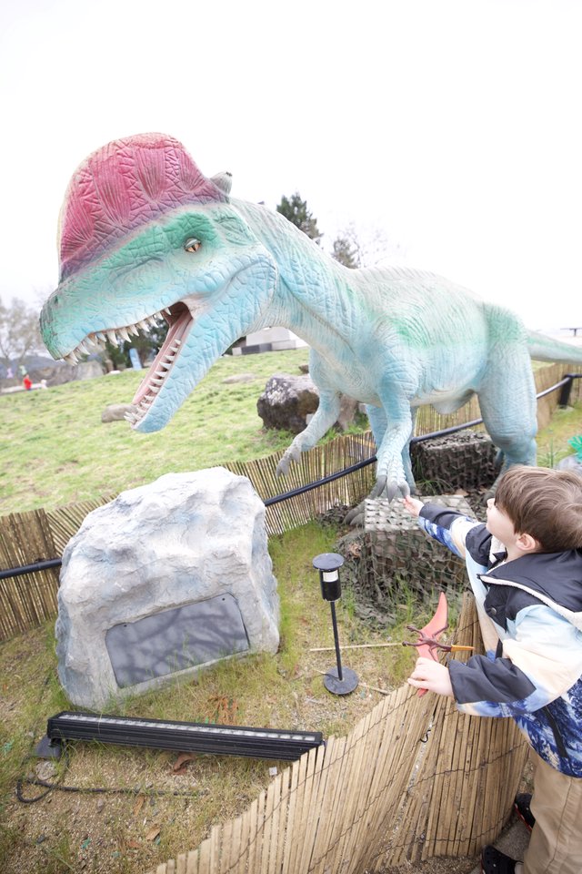 Child Reaches Toward Colorful Spinosaurus Dinosaur Display