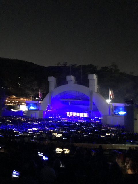 Hollywood Bowl Lights Up the Night