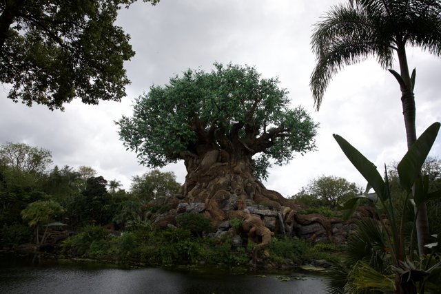 Marveling at the Majestic Tree of Life