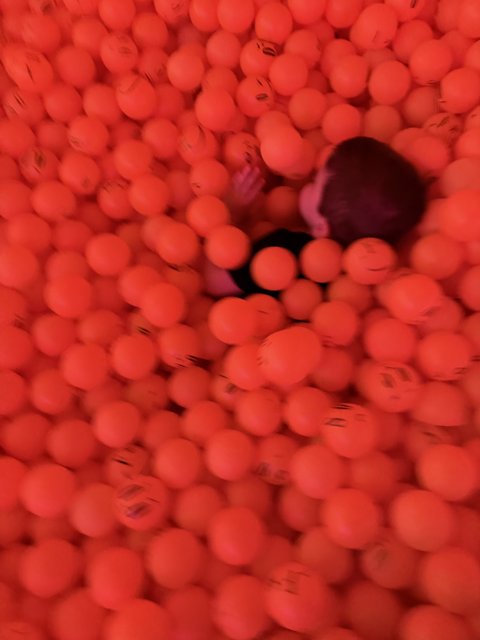 Orange Sphere Wonderland