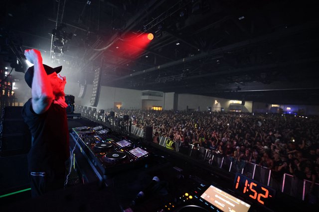 DJ Ignites Massive Crowd at Wobbleland 2026