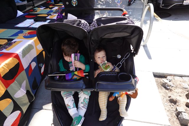 Stroller Adventures on a Sunny Day