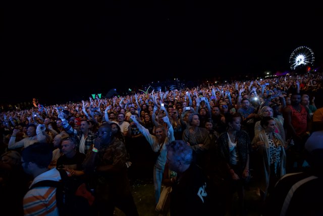 Concertgoers Reach for the Stars
