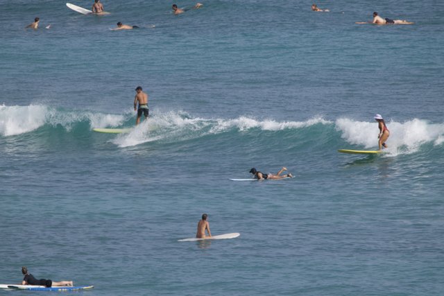Surf's Up in Hawaii: A Day at Sea