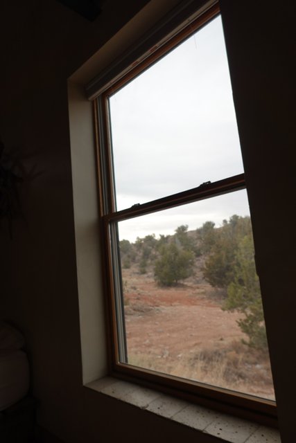 The Serene View from a Rustic Window