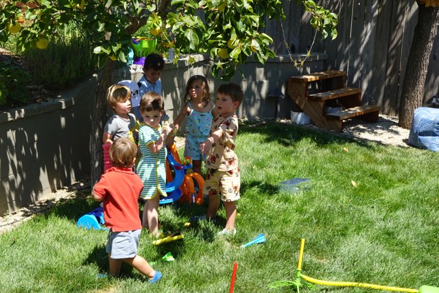 Summertime Backyard Adventure