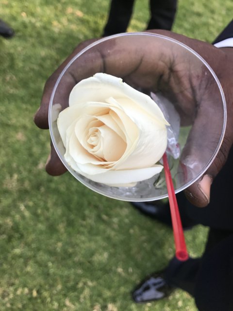 A White Rose with a Twist
