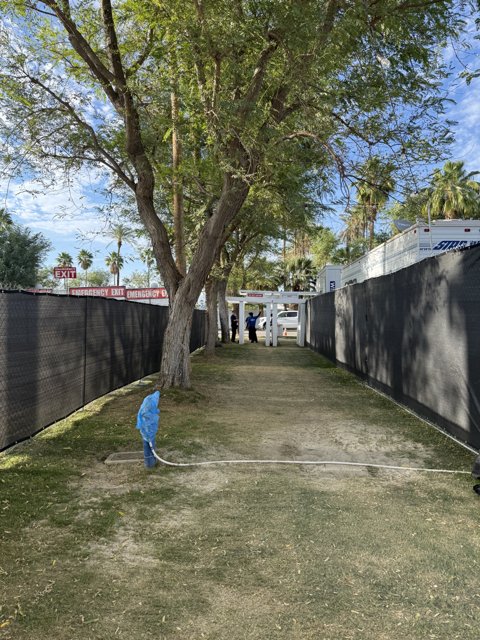 Exit Through the Trees
