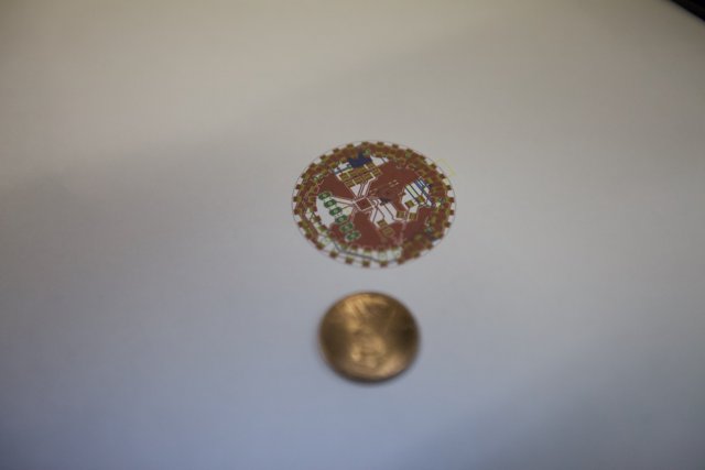 Shiny coin with a sticker emblem