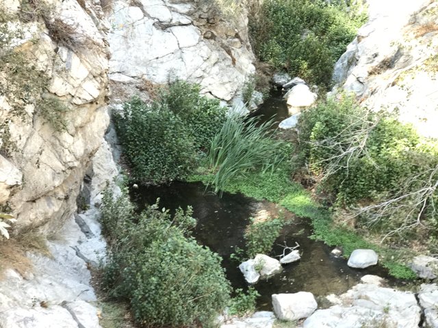 Serene Stream in Rocky Canyon