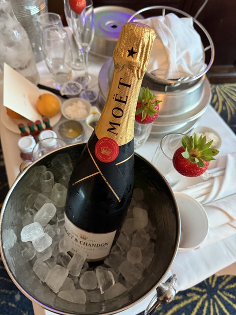 Celebration Essentials