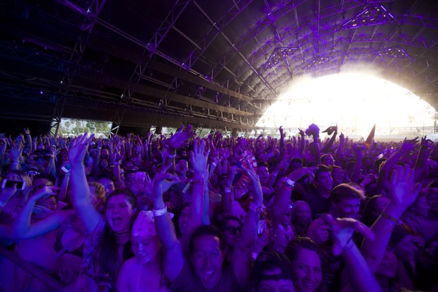 Electric Crowd at Coachella 2017