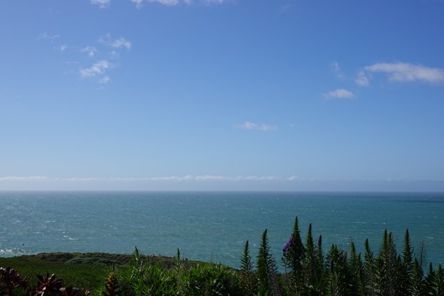 Serene Ocean View