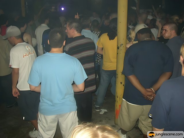 Nightclub Crowd at Party