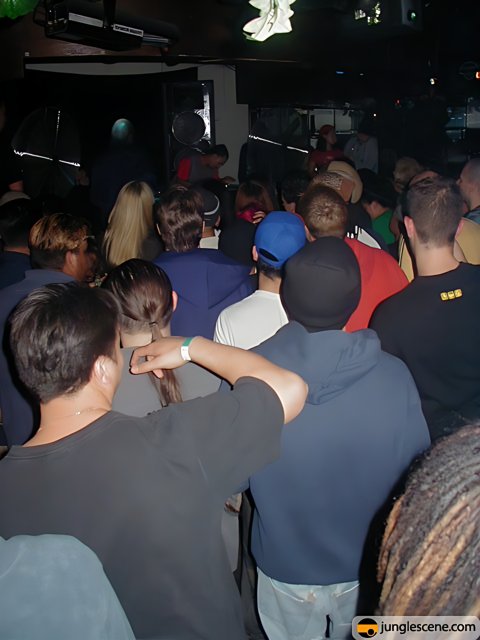 Party-goers fill the club