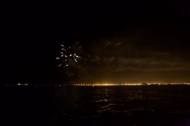 Fireworks Illuminating the City Skyline