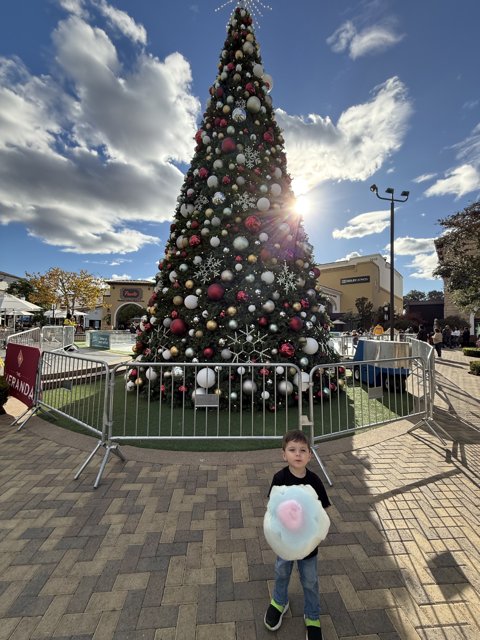 Holiday Magic at The Veranda